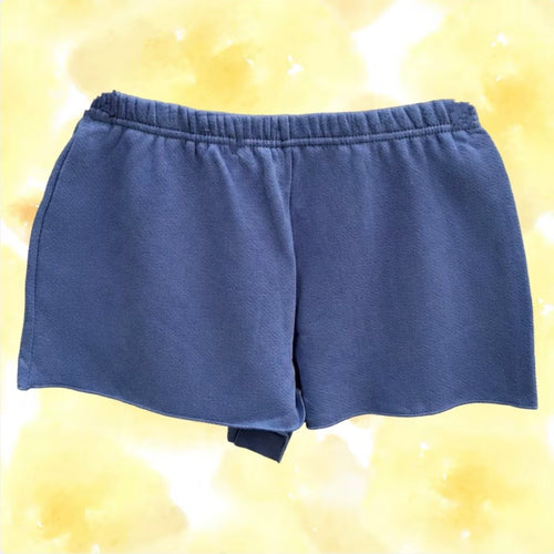 Boys Lie Athletic Dept. Sweatshorts (Matching zip up hoodie also available)